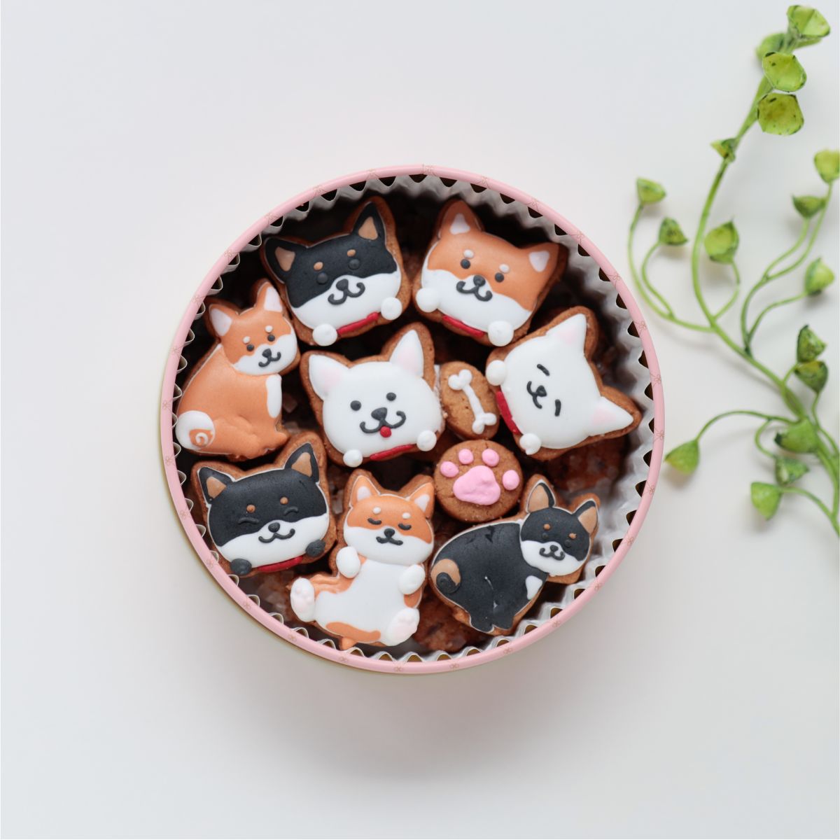 柴犬缶