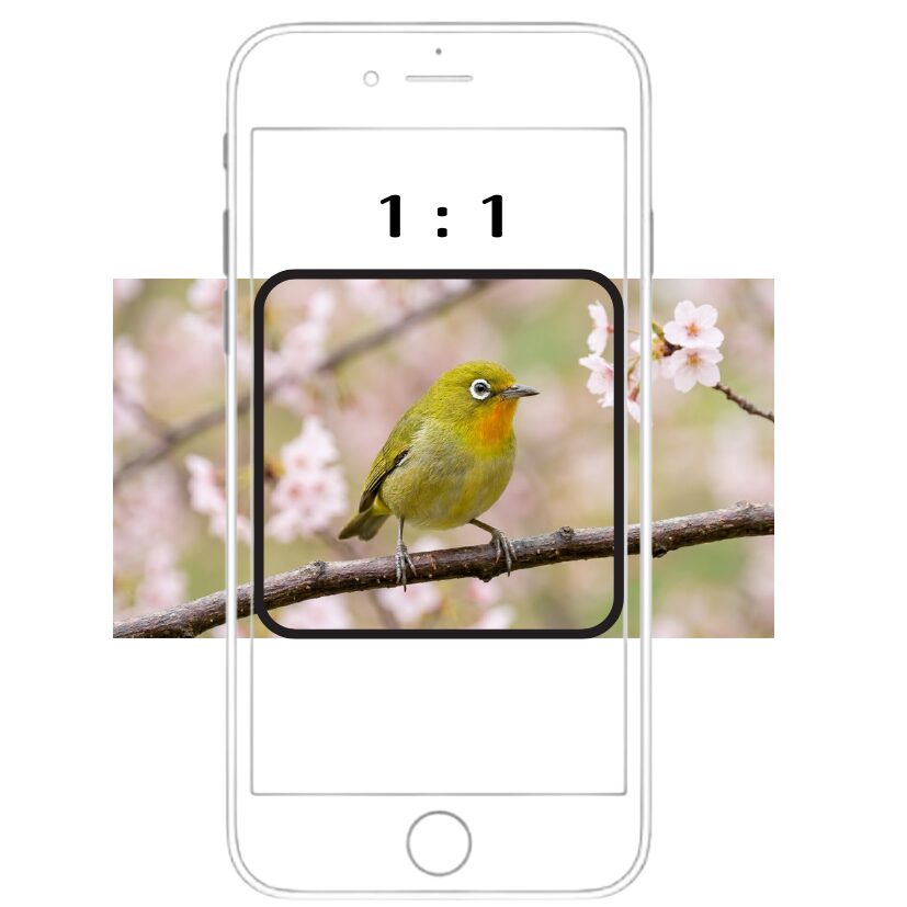 推奨画像の例